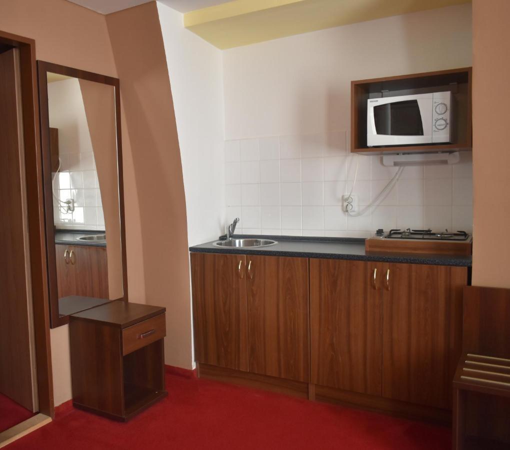 Hotel Cerny Orel Zatec エクステリア 写真