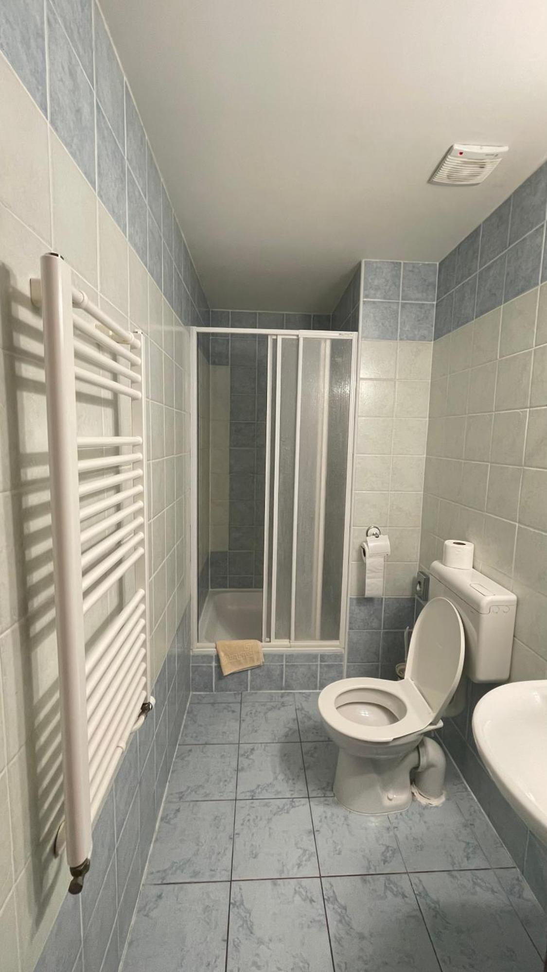 Hotel Cerny Orel Zatec エクステリア 写真