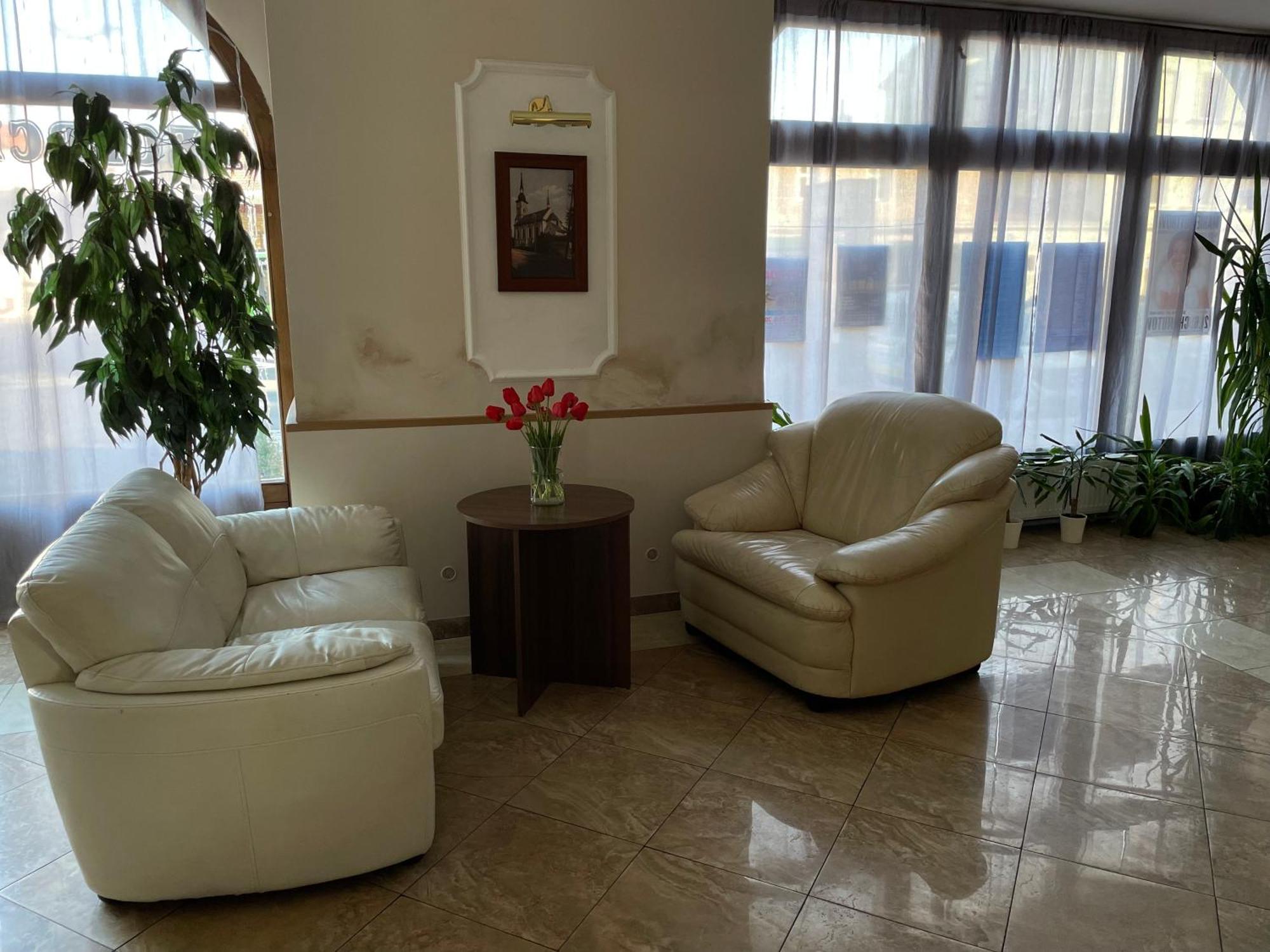 Hotel Cerny Orel Zatec エクステリア 写真