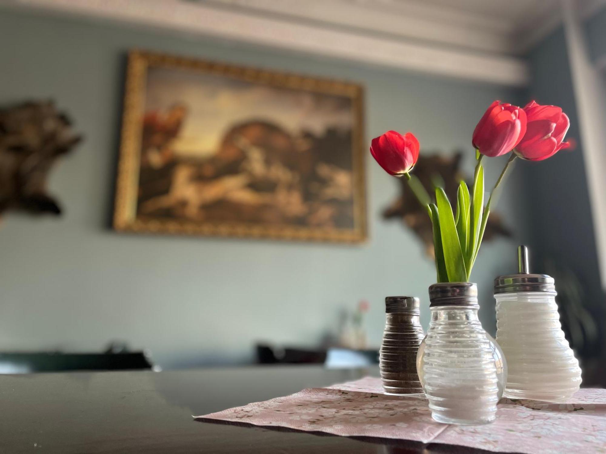 Hotel Cerny Orel Zatec エクステリア 写真